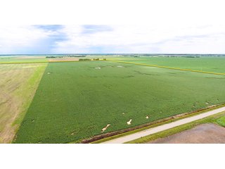 Tract 2 - Reno County, KS farmland - LAND AUCTION - 647+/- ACRES OFFERED IN 4 TRACTS IN RENO & EDWARDS COUNTY, KANSAS